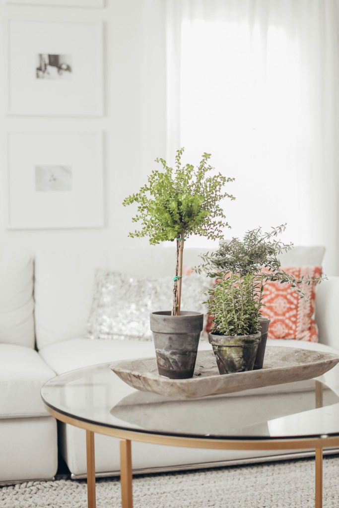 Modern Farmhouse Summer Living Room