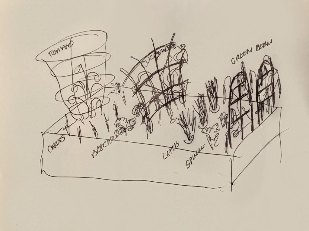 Raised Garden Bed Layout